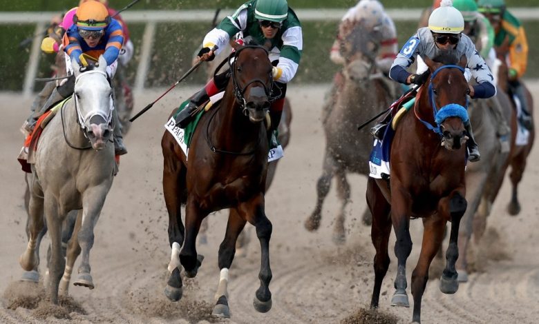 Taiba Headlines Kentucky Derby Betting Guide