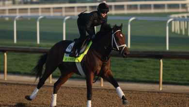 Mo Donegal Headlines Kentucky Derby Betting Strategy