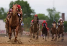 Horse Racing: Market Mover Headlines Belmont Stakes Race