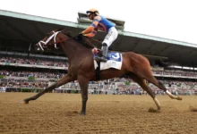 Horse Racing Betting Odds: Belmont Derby Headlines