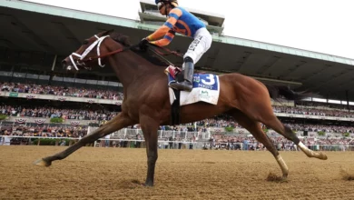 Horse Racing Betting Odds: Belmont Derby Headlines