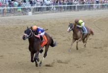 Horse Racing: Favorite Seeking Glory in Fourstardave Stakes