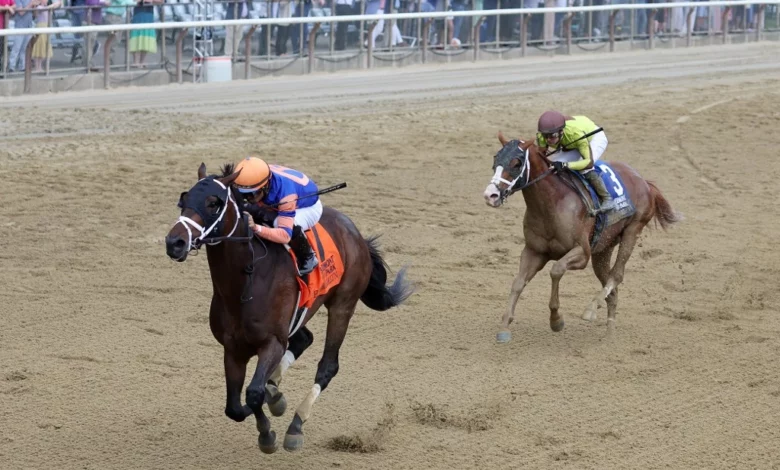 Horse Racing: Favorite Seeking Glory in Fourstardave Stakes