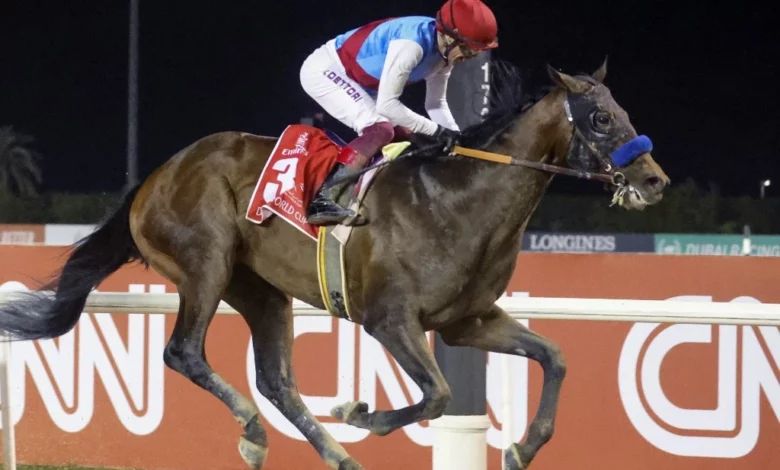 Horse Racing: Awesome Again Tops Santa Anita Race Track Betting
