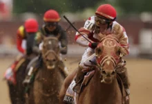 Horse Racing: Cup Headlines Kentucky Downs Stakes Odds