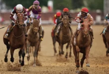 Horse Racing: It’s All About Flightline in Pacific Classic Betting Preview