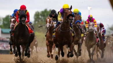 Horse Racing: Really Good Kentucky Downs Betting Tips
