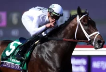 Horse Racing - Aqueduct Betting Odds: Life is Good Headlines