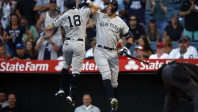 Yankees vs Rays Series Odds: Baseball Preview