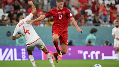 FIFA-World-Cup-Denmark-vs.-Tunisia-Odds-Preview