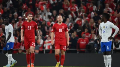 FIFA World Cup: Denmark vs. Tunisia Odds & Preview