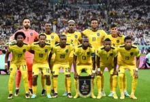 Netherlands vs Ecuador Odds & Preview
