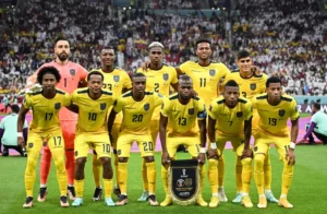 Netherlands vs Ecuador Odds & Preview