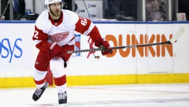Wings vs Stars Betting Trends: NHL Betting Preview for Saturday Afternoon