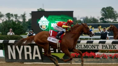Triple Crown Triumphs: A Historical Look at Horse Racing Odds and Legendary Winners