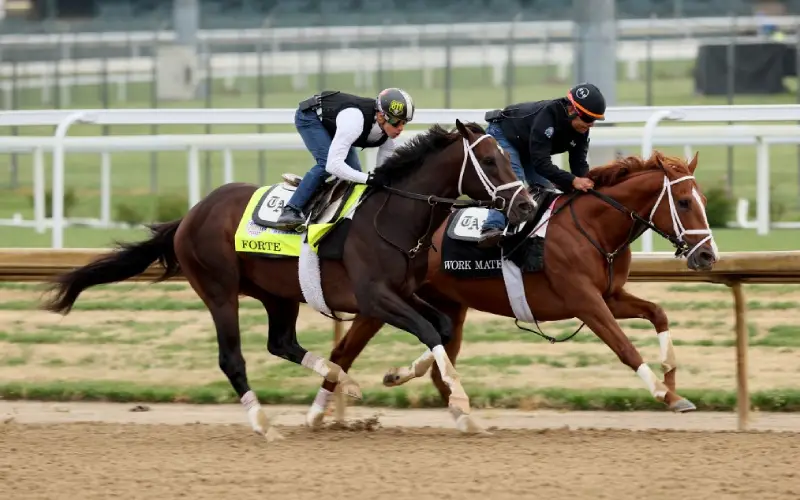 Is It Worth Betting on the Belmont Stakes?