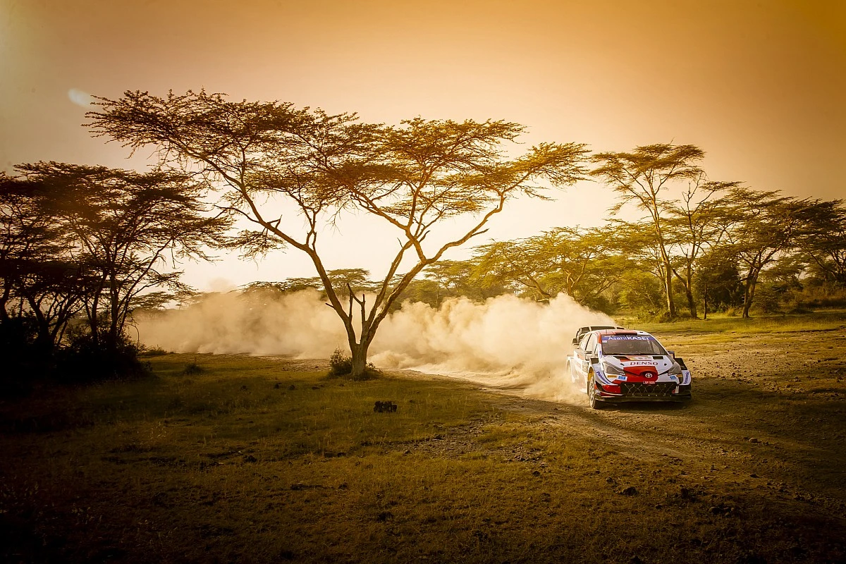 Betting On Rally Kenya: How WRC Odds Stack Up