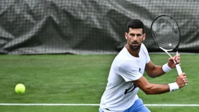 Wimbledon Men's Betting Odds: Djokovic Is Favored to Win His Eighth Wimbledon Singles Title