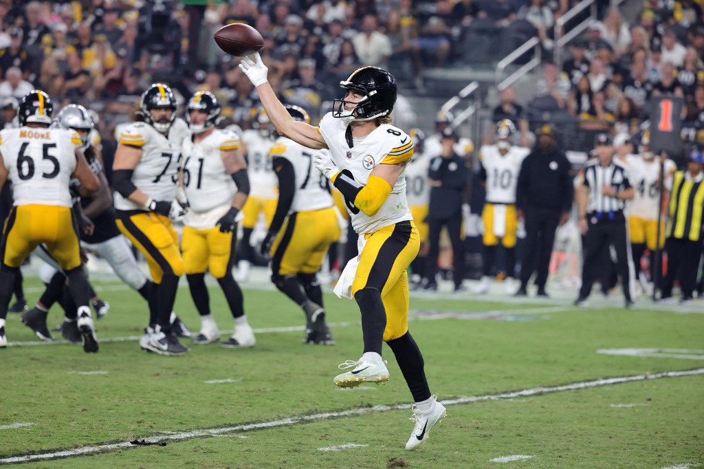 Steelers vs Texans Preview: NFL Matchup Betting Odds