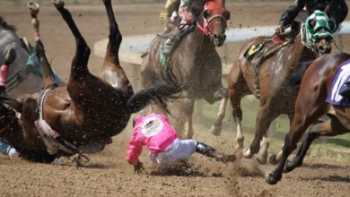 Sudden Deaths in Race Horses: The Result of Doping Practices?