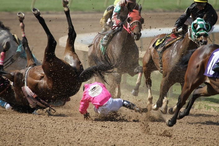 Sudden Deaths in Race Horses: The Result of Doping Practices?