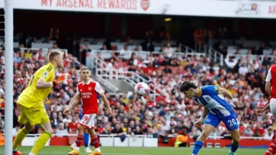 Arsenal vs Brighton EPL Odds & Preview