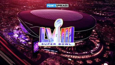 2024 Super Bowl Odds Heat Up the Divisional Round: Favorites and Dark Horses