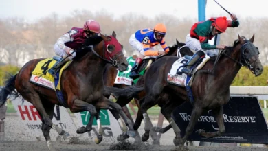 Aqueduct Horse Racing Picks for Presidents' Day Monday 2/20