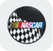 nascar mini-icon