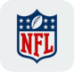 nfl mini-icon