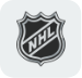 nhl mini-icon