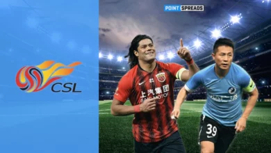 Chinese Super League Image