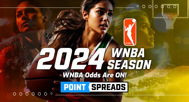 2024 WNBA Season Banner