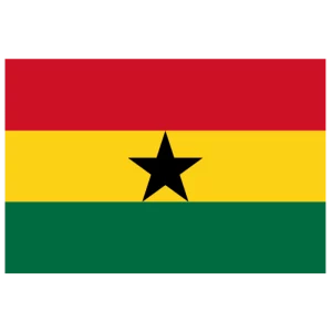 Ghana national football team logo